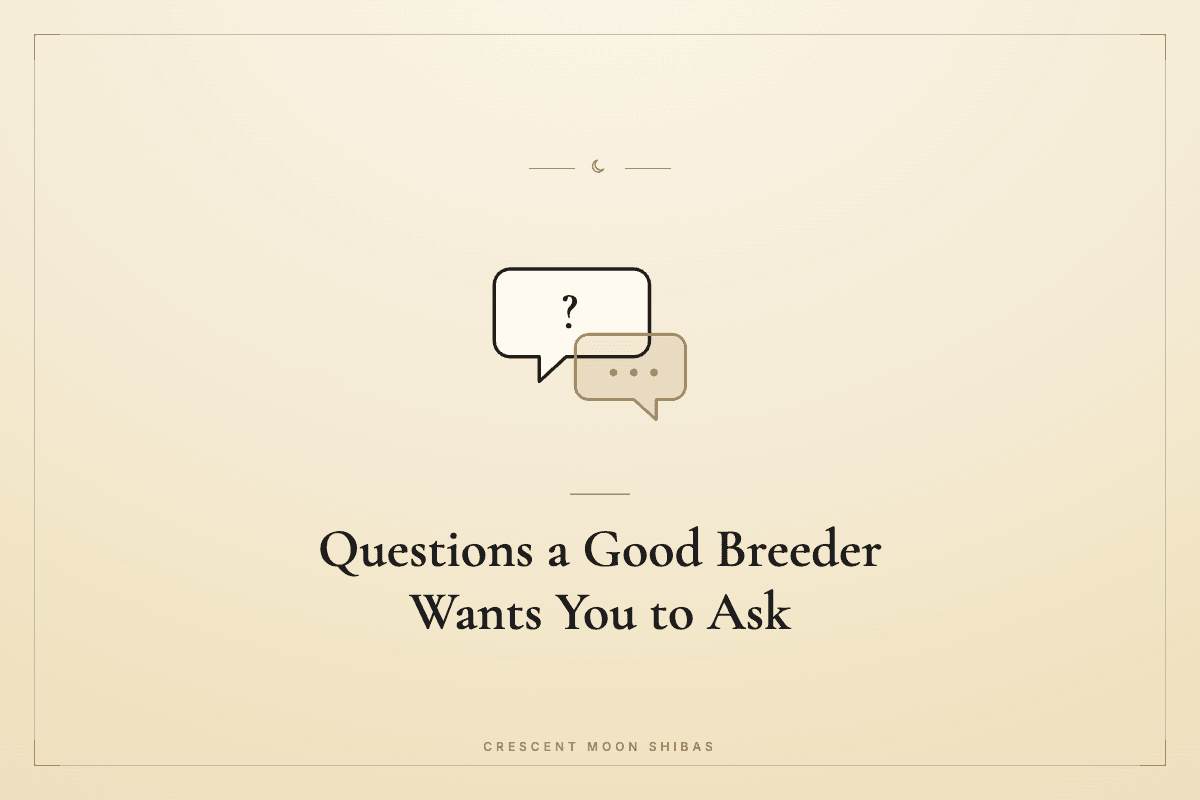 Questions a Good Breeder Wants You to Ask